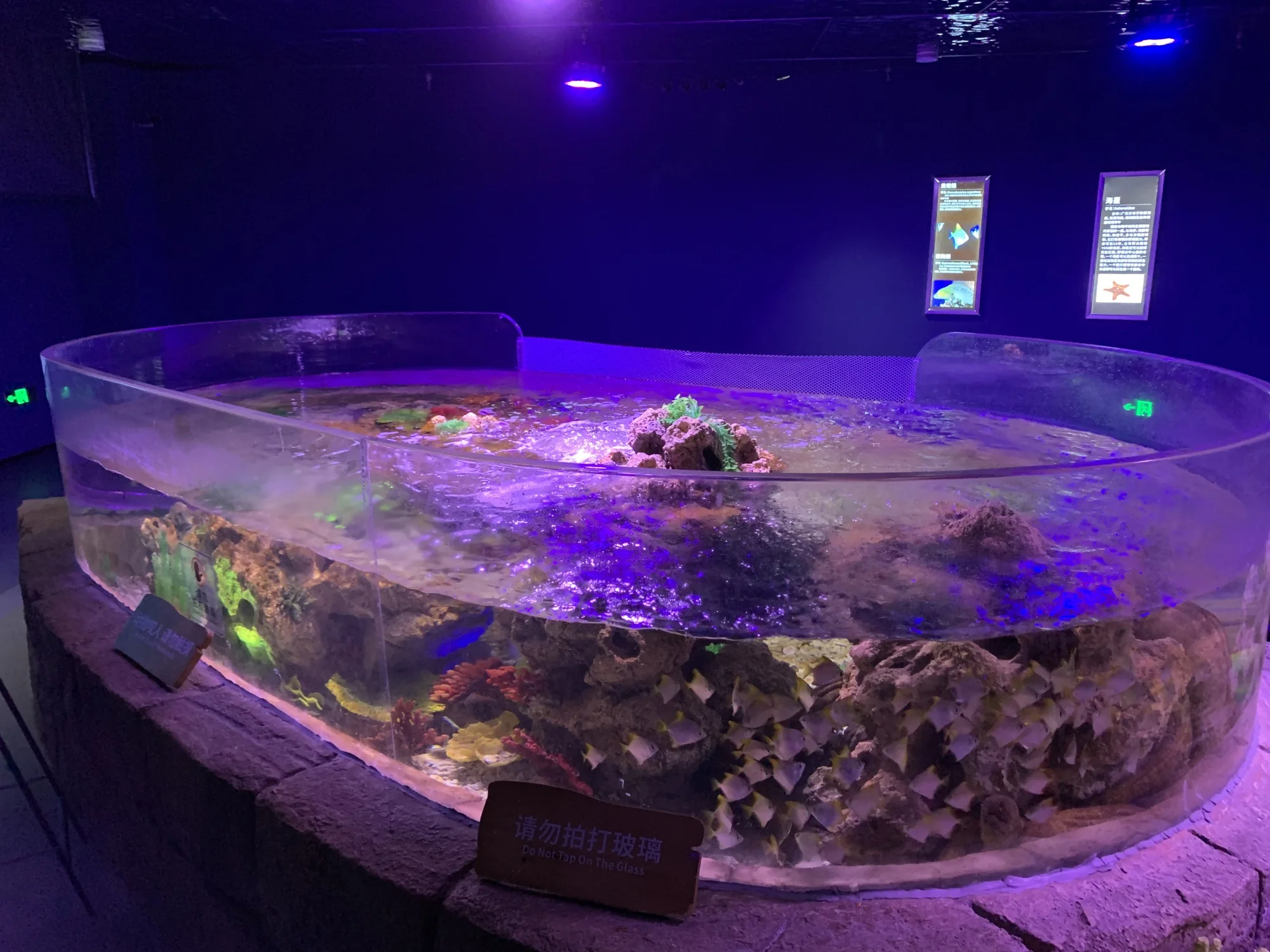 factory acrylic aquarium panel price for aquarium project