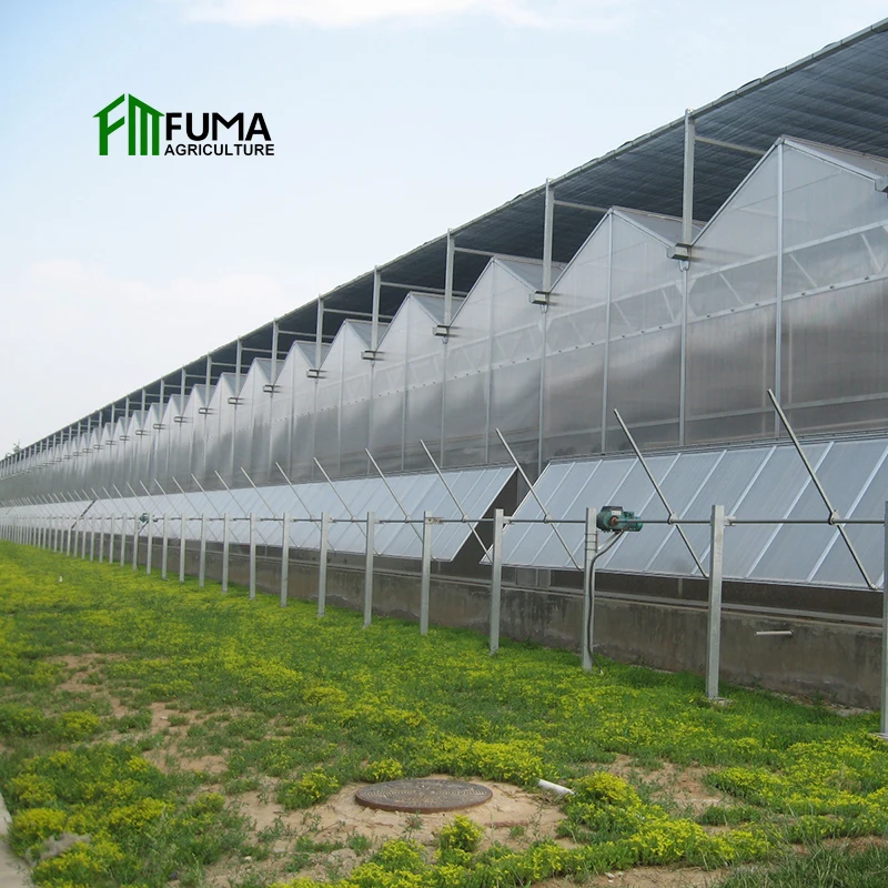 Низкая цена сельское хозяйство системы aquaponics коммерческая теплица с умным стеклом для продажи