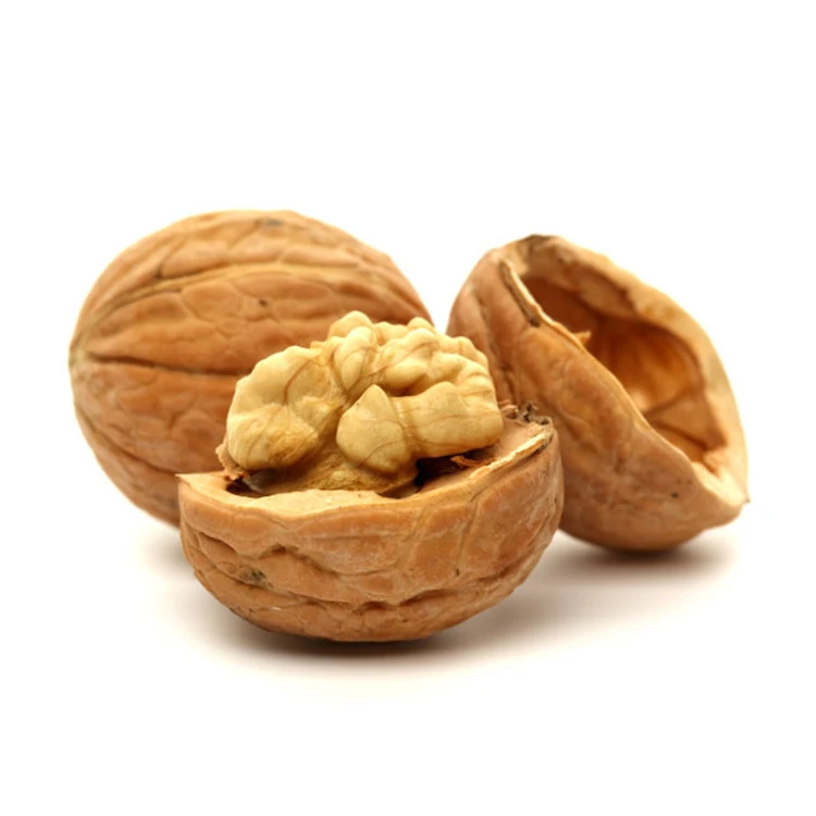 High Quality Cheap Price walnuts kernel shell raw walnut kernel