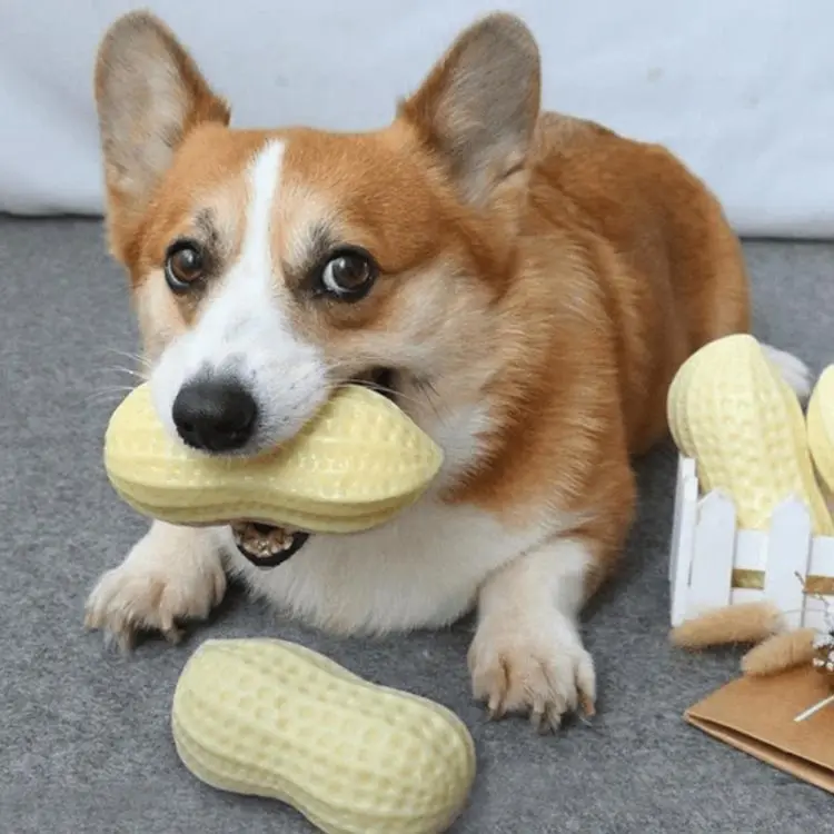 2023 Pet Dog Molar Toy Rubber Training Chew Toys With Squeaky