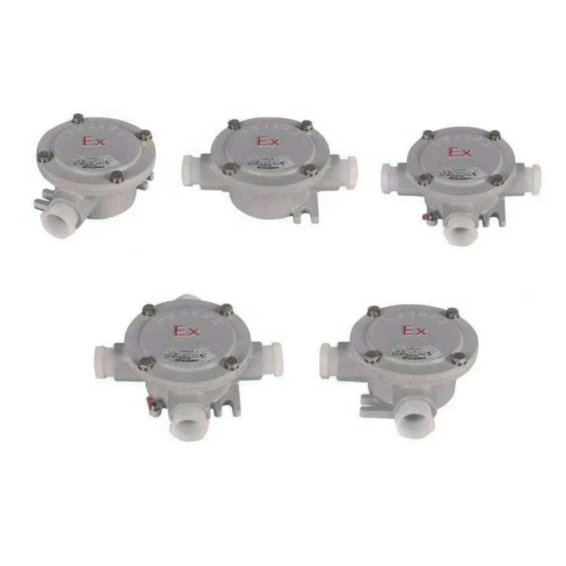 BMG explosion proof sealing box electric wiring isolated box Ex db IIC Ex tb IIIC