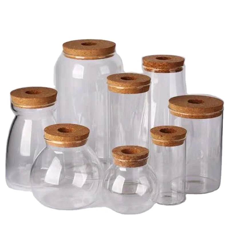 Hydroponic Culture Water Planting Glass Jar with Cork Wood Lid for Plant Pot & Flower Pots & Planters Culture