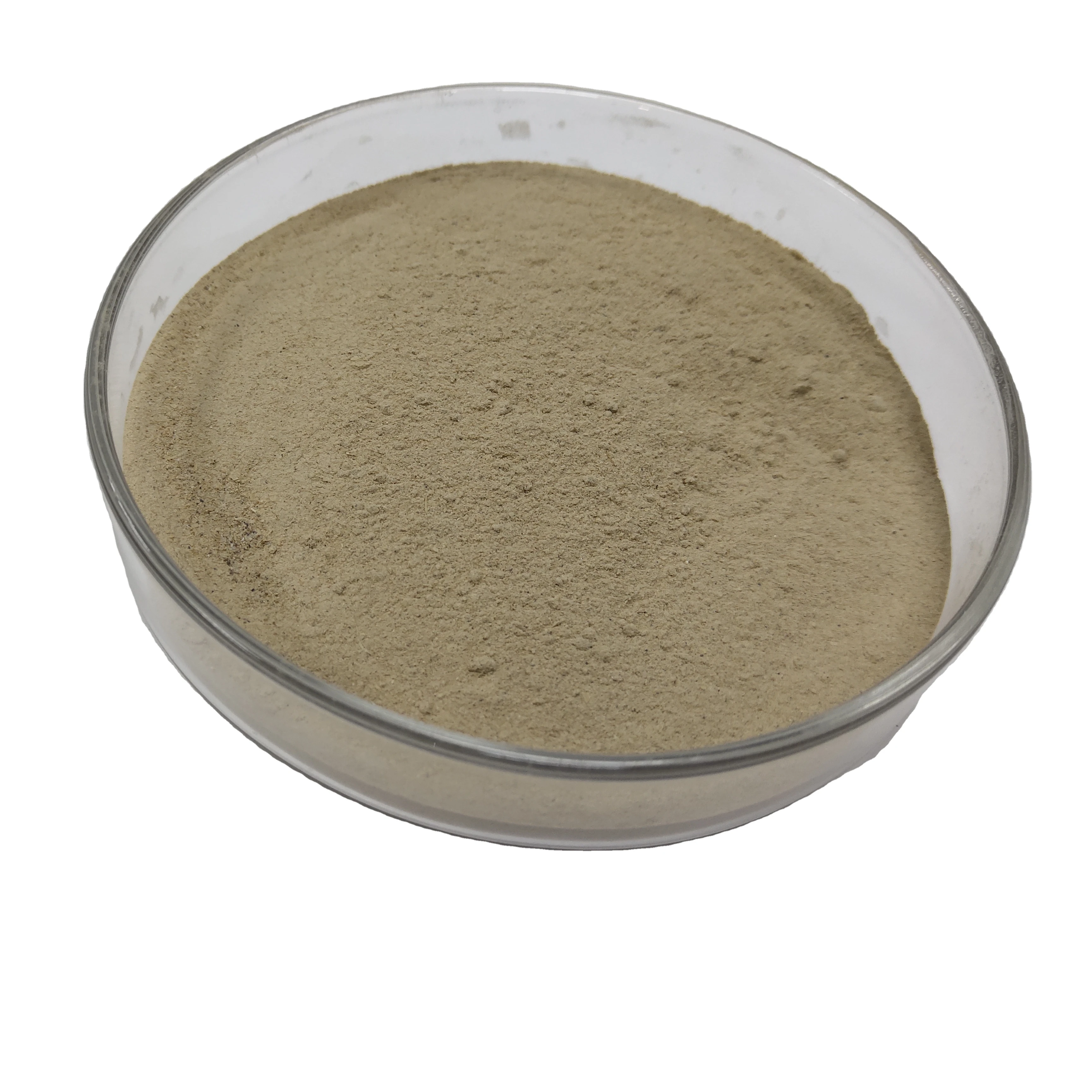 Factory Manufacture Various Complex enzyme for poultry feed additives ruminants additives pig swine feed production