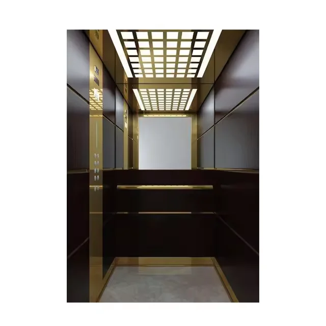 Customized differentiated price automatic building office passenger elevator for 4-6 person