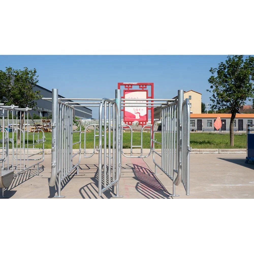 Factory direct sale galvanized cages for pigs in gestation pig farming equipment pig gestation crate