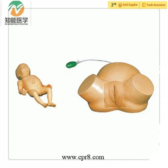 VACUUM DELIVERY OBSTETRICAL MANIKIN
