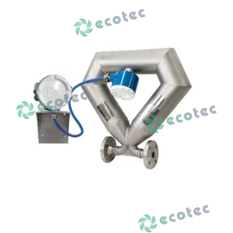 Ecotec Gas Liquid and Multi-Phase Flow Mass Flow Meter for Gas Station