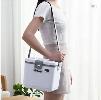 kbcool 4.5L Portable Insulation Cooler Box Factory Wholesale PP/PE Material for Food Beer & Drink Storage