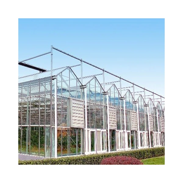 greenhouse outdoor polycarbonate greenhouse Design Hot Sale Glass Galvanized Steel Large Golden Supplier Glass Green House