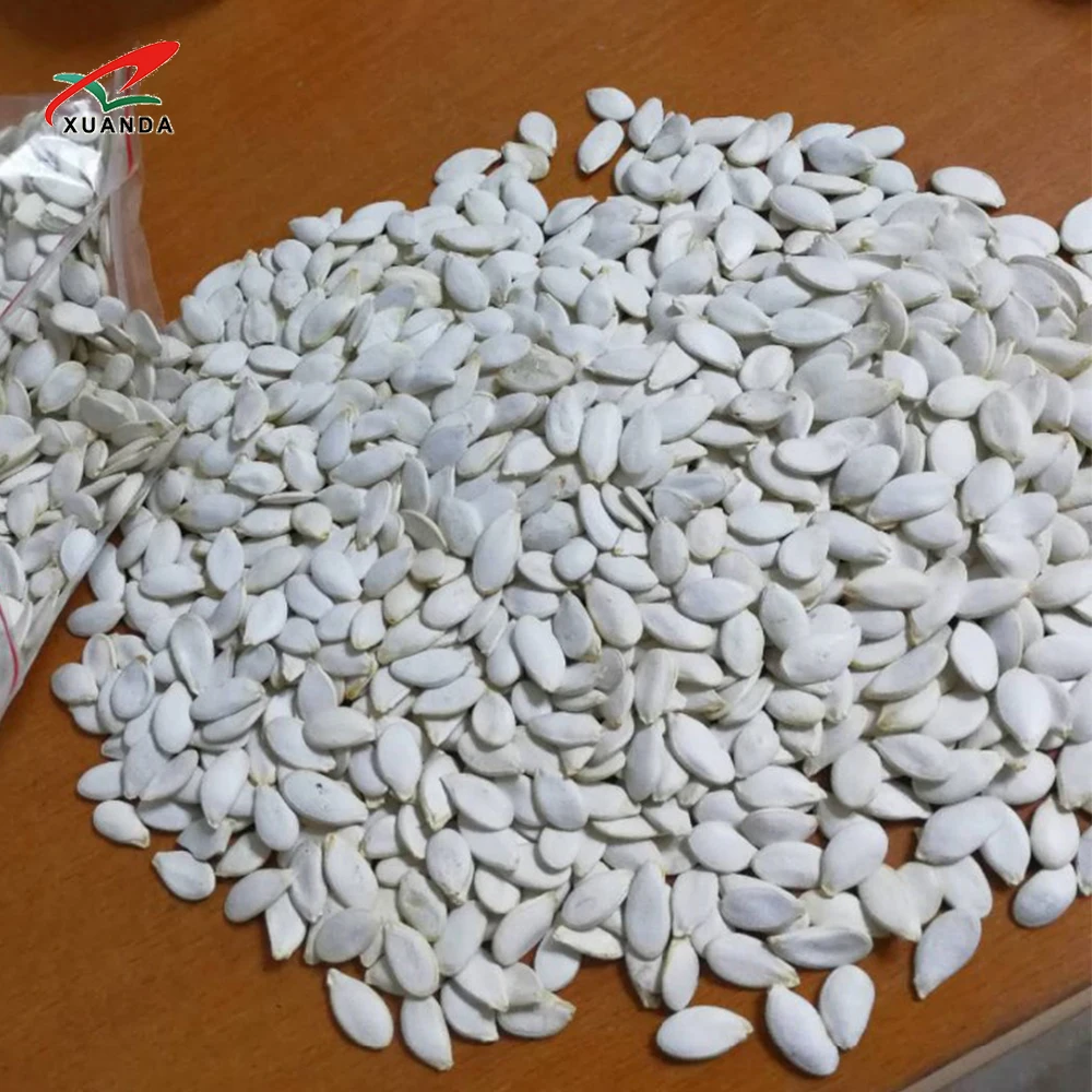 Fresh Snow White Pumpkin Seeds High Quality Snacks Dried Food Shine Skin Pumpkin Seeds Kernel Price Raw 20/25 Kg PP Bag