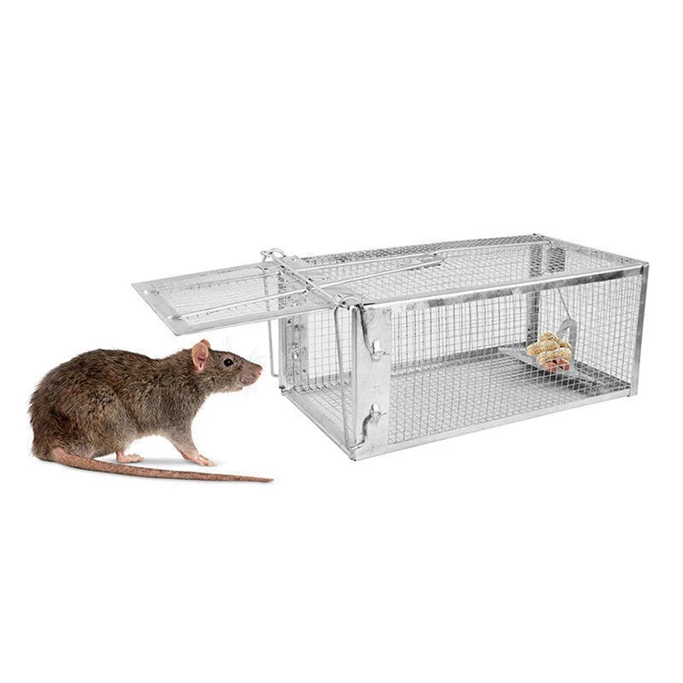 Humane No Kill Rat Traps Silver Galvanized Wire Mesh Mouse Trap Cage