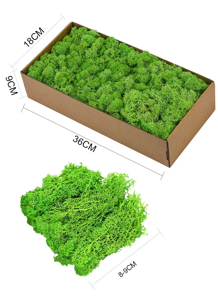 High quality China natural moss wall eternal dried preserved moss