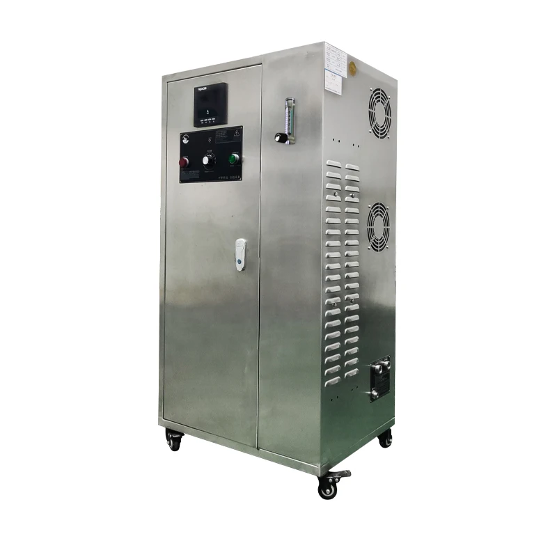 pure water direct drinking water sterilization dyeing water decolorization sterilization disinfection ozone machine