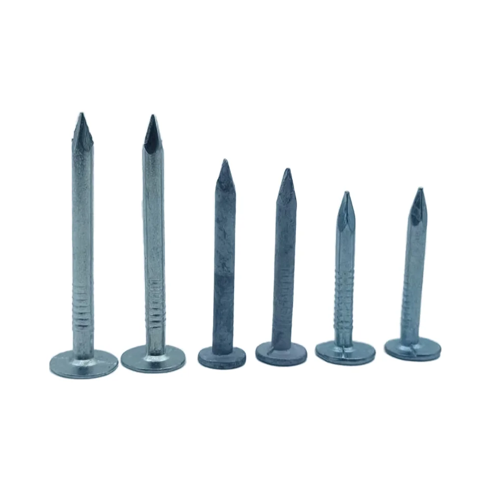 High Quality 1inch 2inch 3inch 4inch Silver Color Yellow Color Galvanized 10Mm Big Head Felt Nail Sale for South America