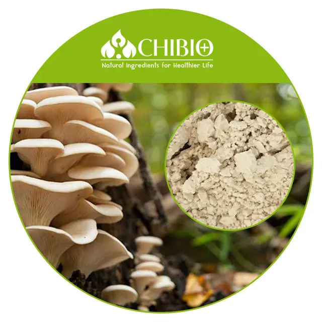 100% Non animal Plant based Mushroom Protein Powder ingredients