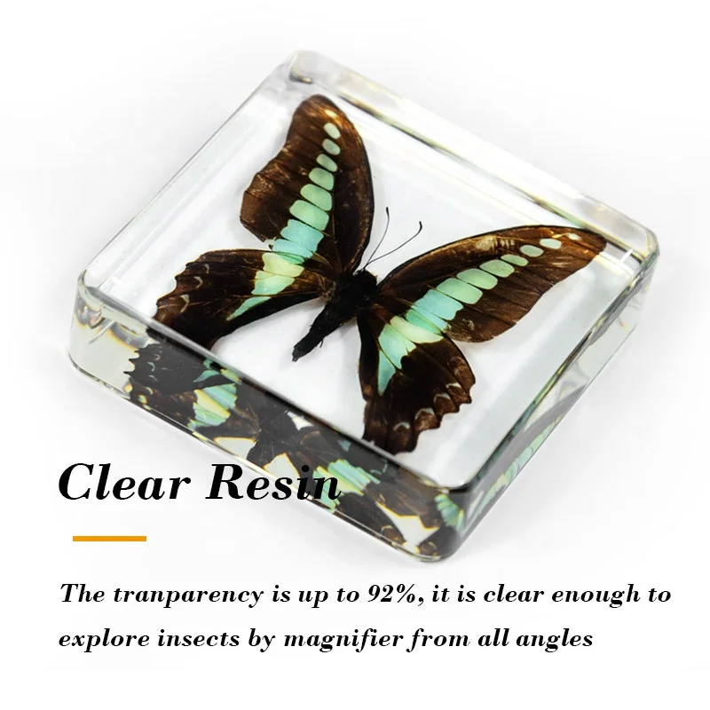 display case cabinet book rack bookshelf tea table end table bedside China factory clear resin real butterfly desktop decoration
