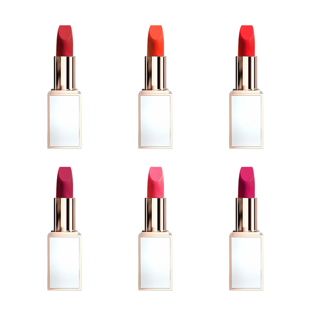 lakme Makeup vendor high quality oem matte lipstick private label lipstick