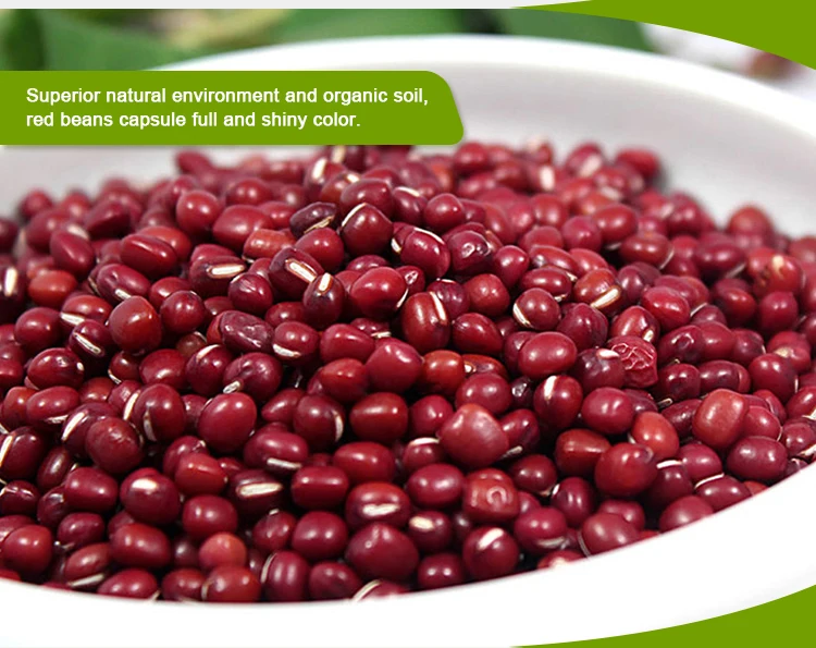 Adzuki bean маленькая красная фасоль по лучшей цене для пищевой фабрики