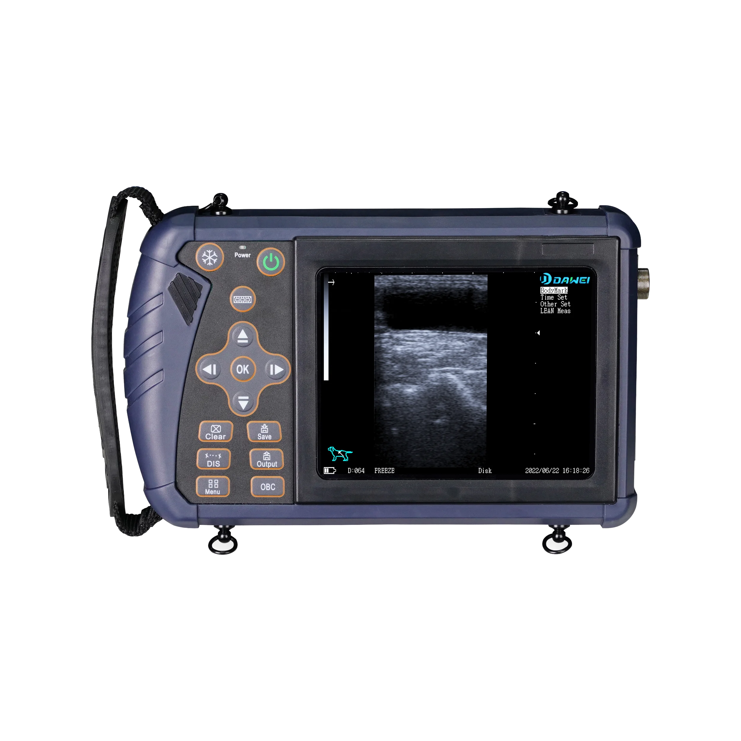 Dawei Sheep Ultrasound b/w Portable Ultrasound Linear Probe Veterinary Ultrasound Instruments