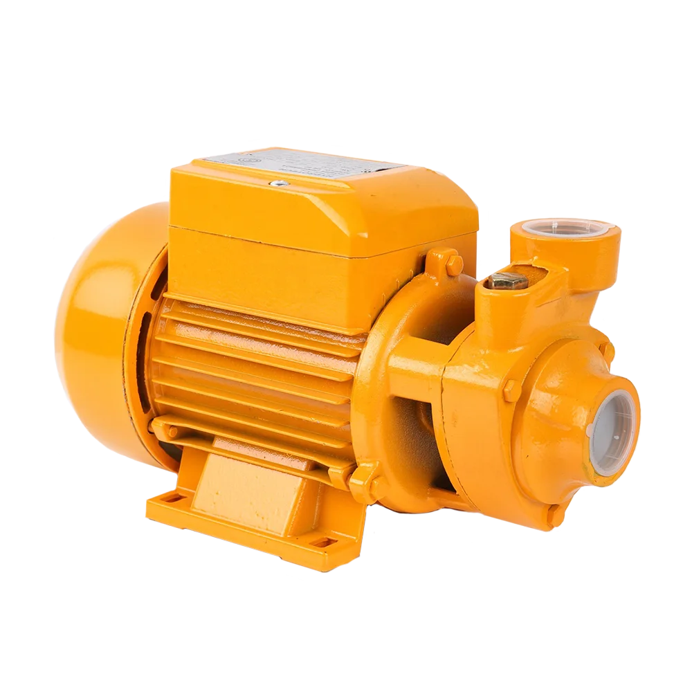 RUIQI Factory Wholesale QB60 0.37kW Electric Motor Pumps Peripheral Vortex Pompa Houseuse Pressure 1/2 hp Water Pump
