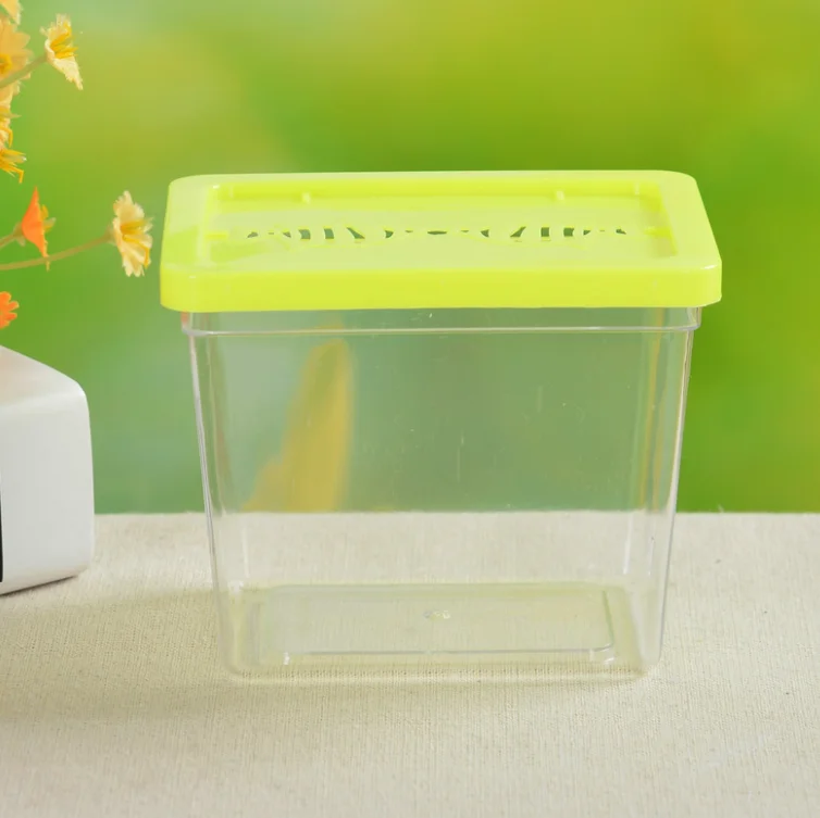 Transparent Mini goldfish tank small size resin Aquarium plastic insect box