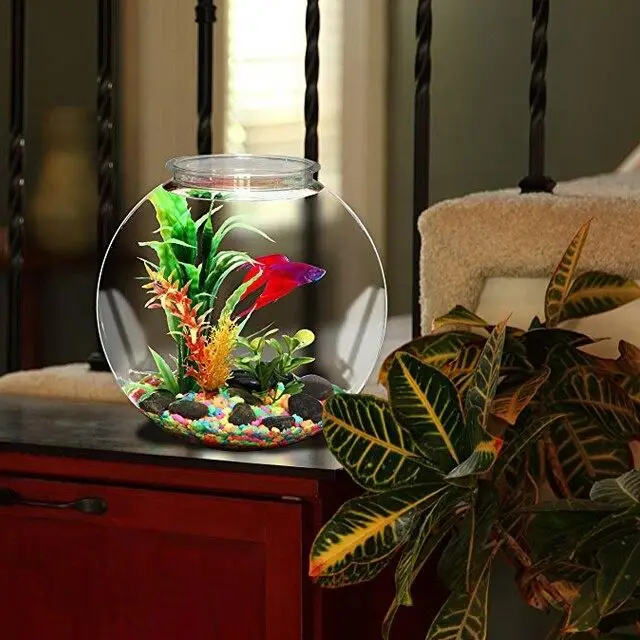 1 Gallon Plastic Bowl Round, Small Plastic Aquarium