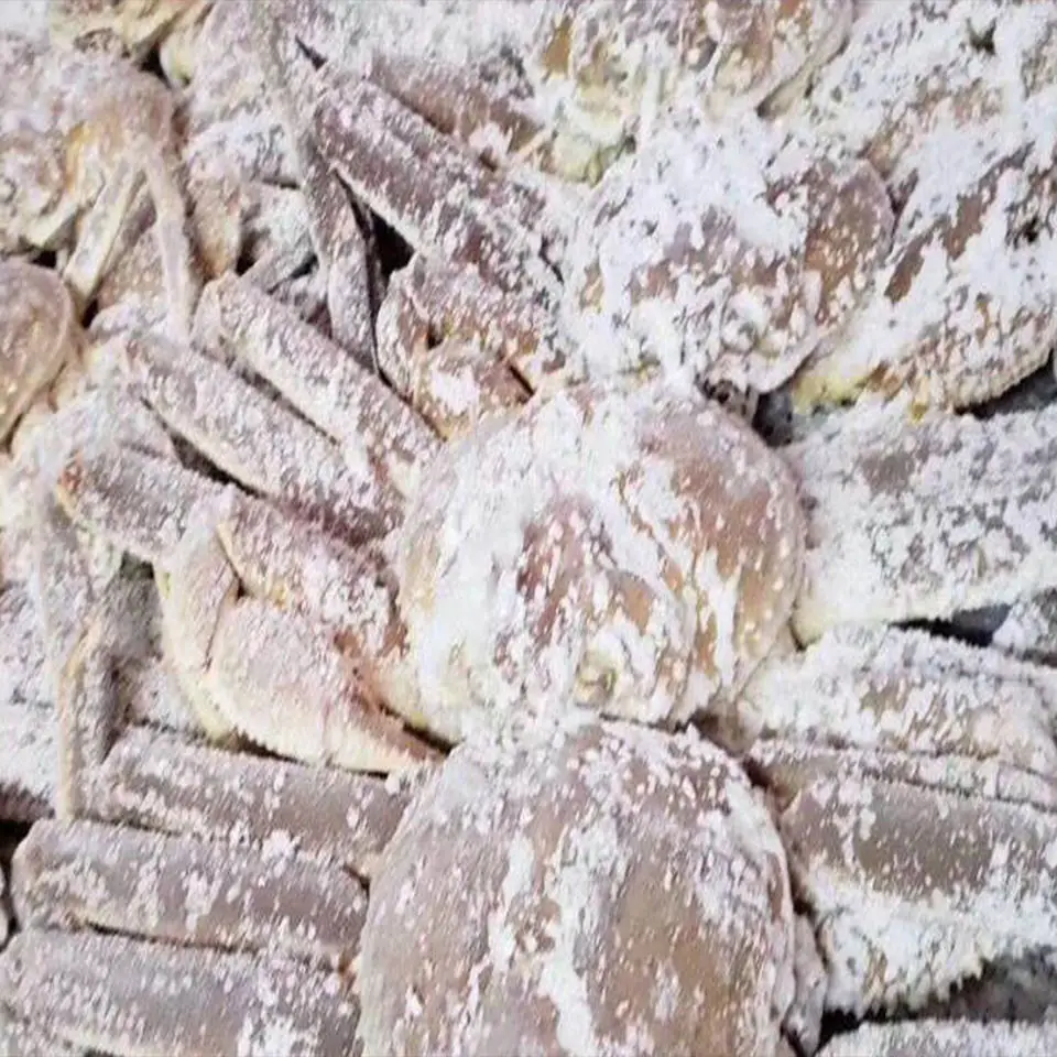 IQF freezer machine production line fries potato freeze tunnel freeze tunnel