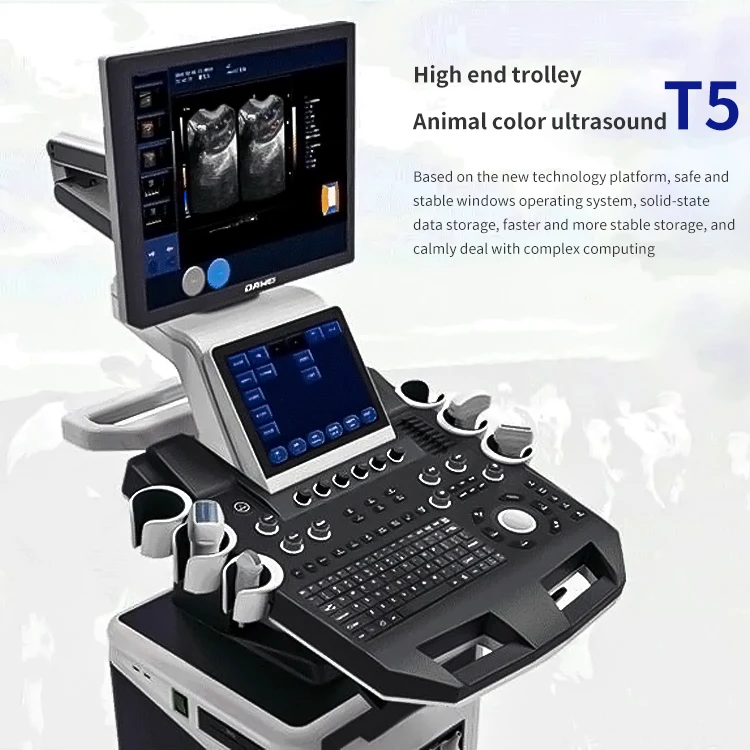 High quality color doppler 3D 4D 5D ultrasound trolley ultrasound gynecology hospital machine ultrasound scanners