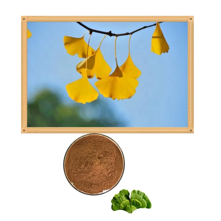 
Ginkgo Biloba Extract Cp2015 Ethanol Extract Natural Ginkgo Biloba Leaves Extract 