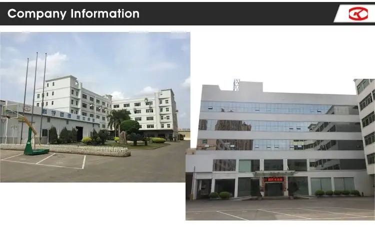 Factory Universal Adjustable Three-Point Safety Car Buckle Lock Seat Belt