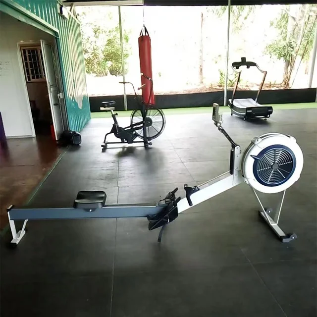 Shipping Modular Container Gym Commercial Fitness Gym Equipment Power Rack Outdoor Container Gym