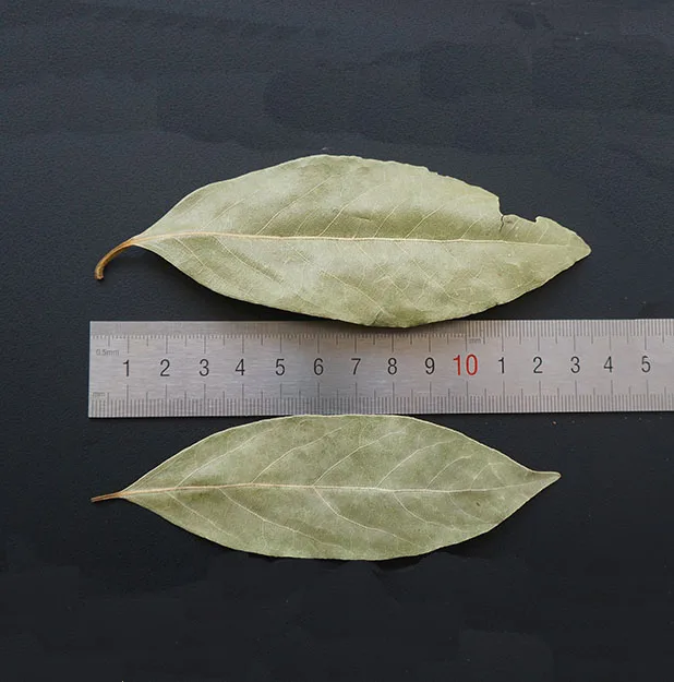 
Single&hebrs Spices Supplier Wholesales Cheap Price Bay Leaf Plant Bay Leaf Powder China AD Chilli & Pepper Dried Piece Fried 