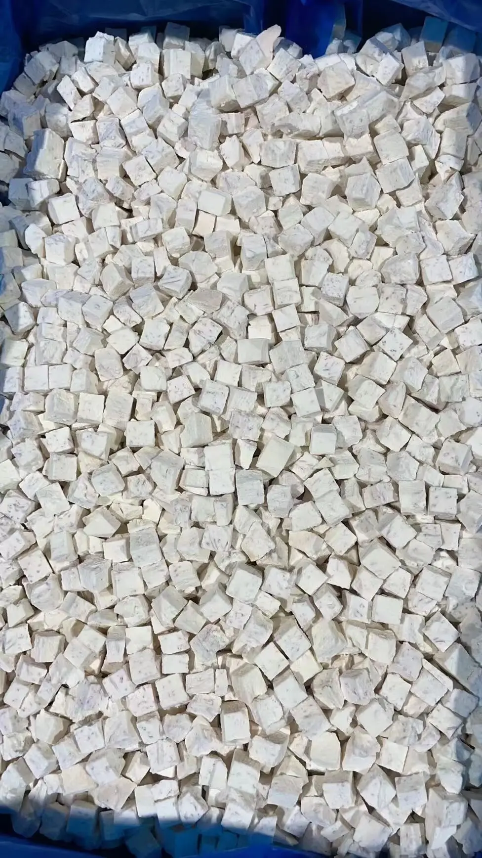 New crop  frozen water chestnut iqf frozen vegetables