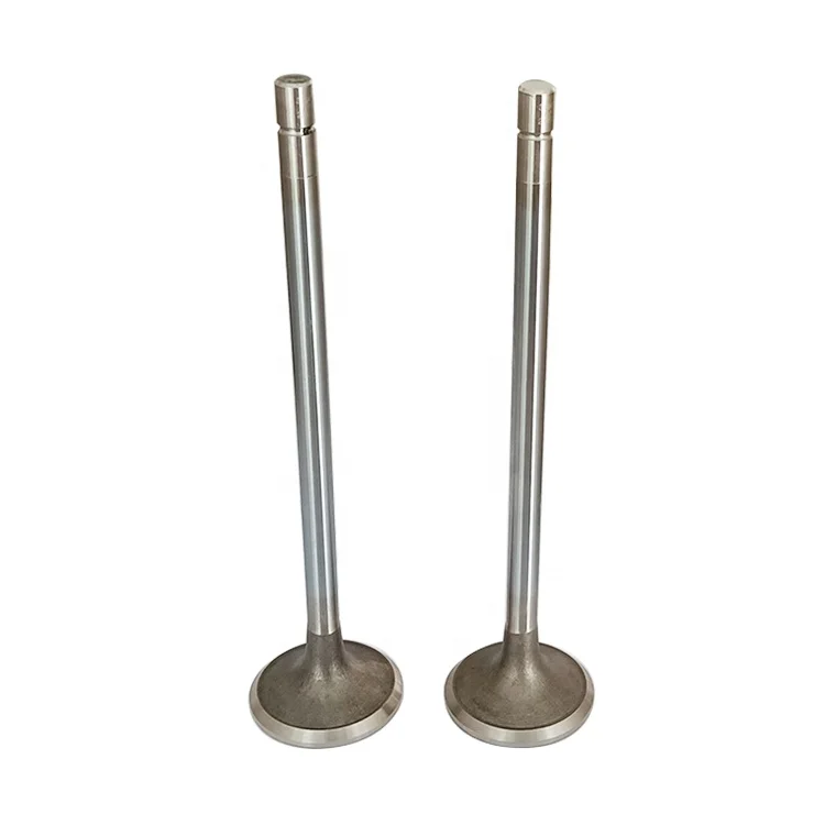 Construction Machinery Heavy Vehicle Engine N14 Exhaust Valve 3800891 3166410