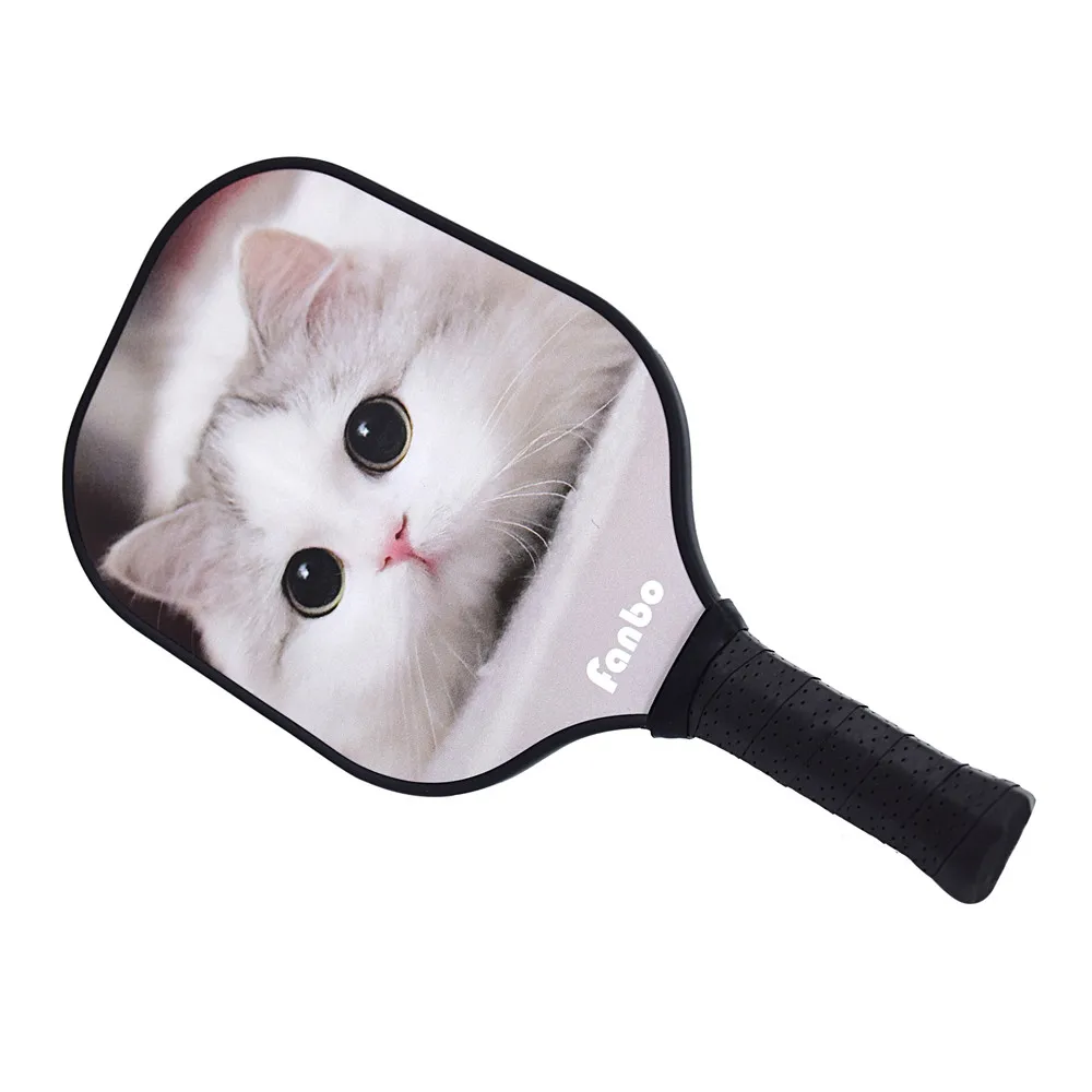 
mingxuan custom logo USAPA professional pickleball paddle with pickleball balls 