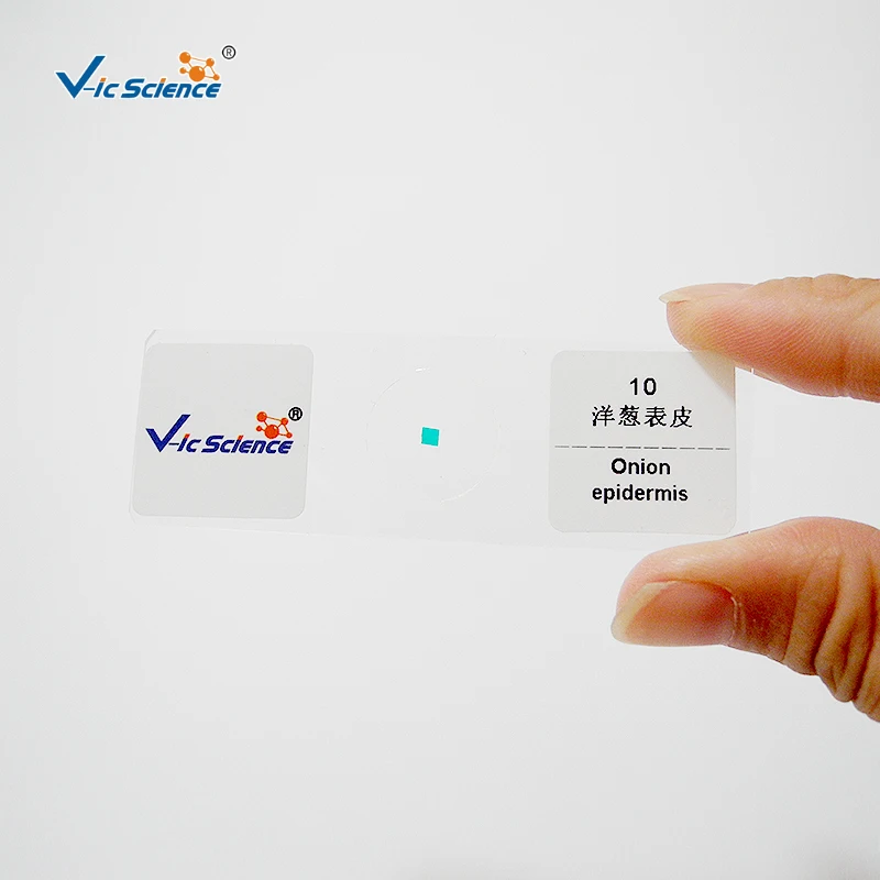 Teaching resources and teaching equipment Schools and medical hot sellers chromosome microscope preparation slide