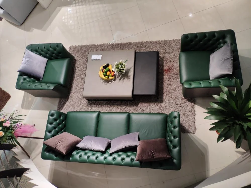 German Home Furniture Modern Luxury Leather Sofa For Living Room