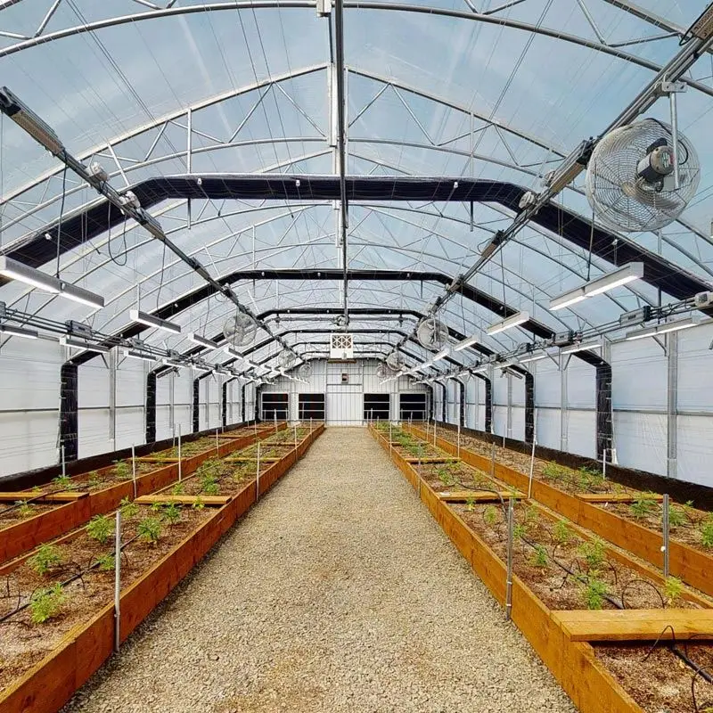 New Style Vegetable Agricultural UV Treated Plastic Film Greenhouse for sale