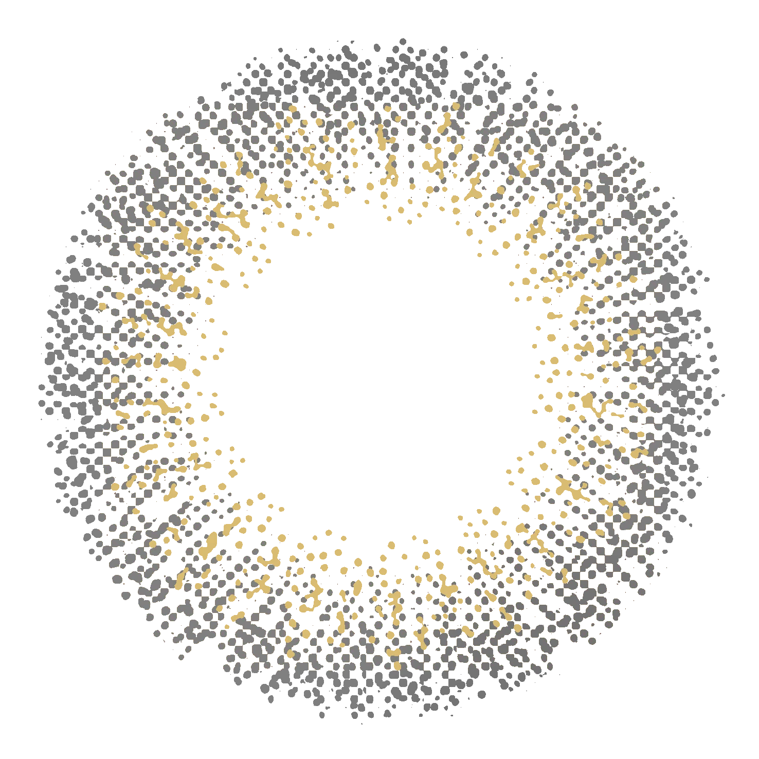 colored contact lenses  using cycle 6 months popular lenses for USA market