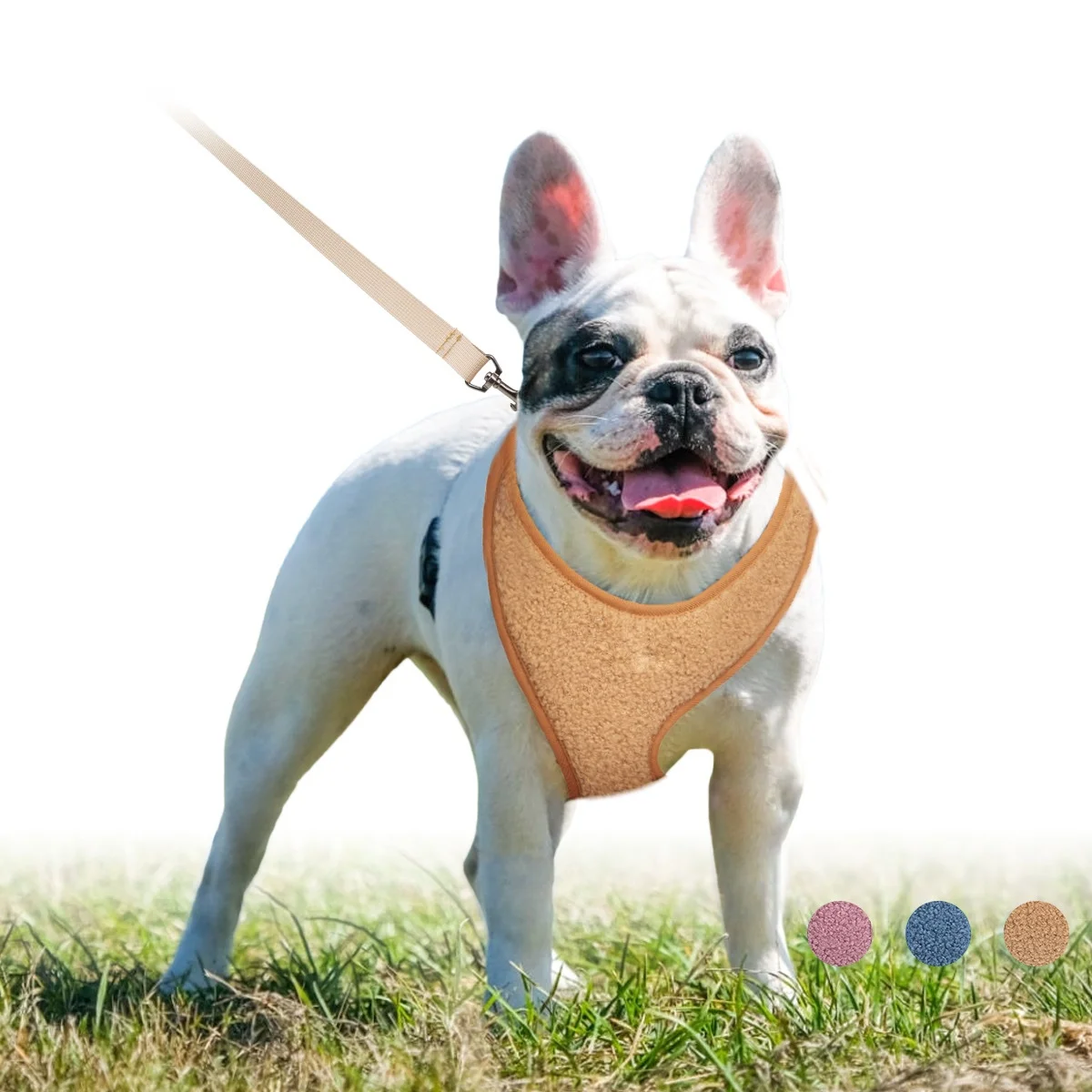 Custom logo new design fashionable breakaway PET harness