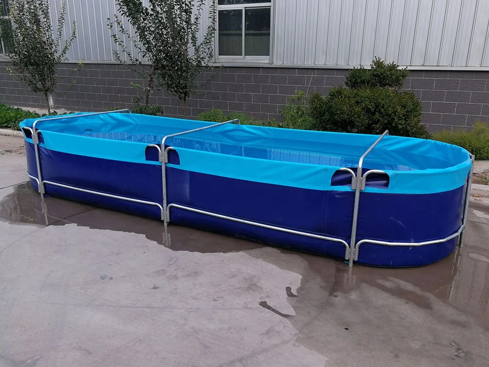 Summer children can swim in the swimming pool  fish pool swimming circle cool