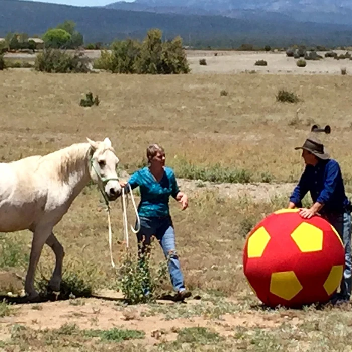 40-Inch Mega Ball Cover for Horses
