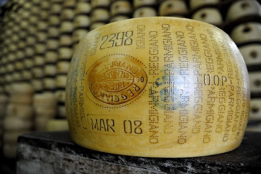 Italy Zarpellon Brand 19C100TF Hard Cheese For Parmigiano Reggiano 1 Kg Cheese For Wholesale Supply