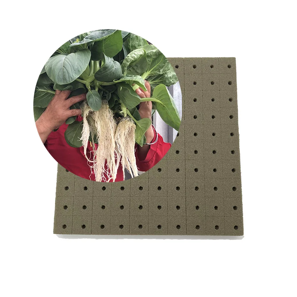 Garden Supplier seed cubes hydroponic foam  seed cultivation media cubes square