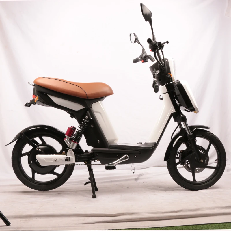 ebike 4.jpg
