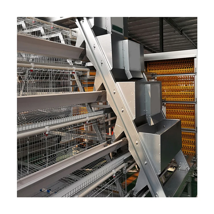 H Type Automatic Chicken Equipment Battery Cage System For Egg Laying Poultry Farming