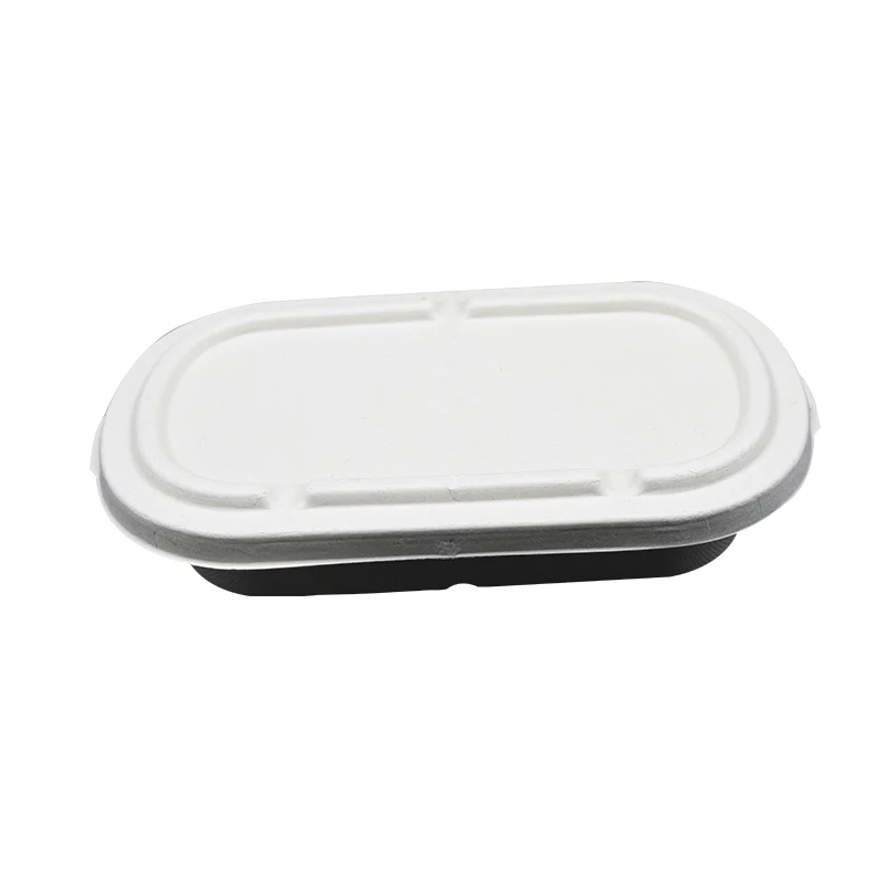 Food Container Multi-size Disposable Sugarcane Bagasse  Takeaway Lunch Box