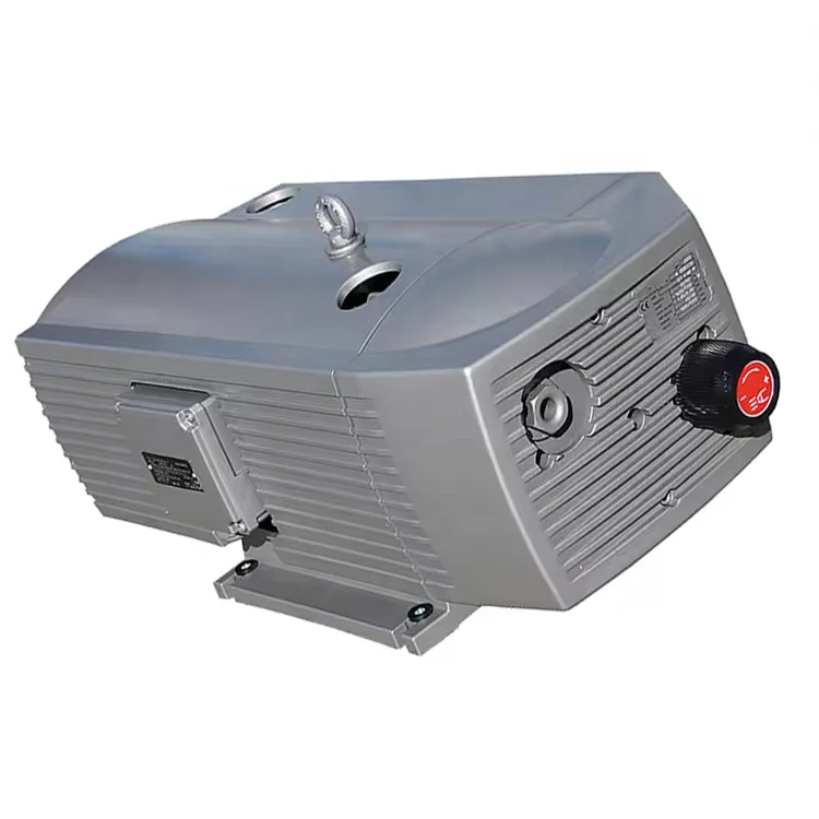 Long life large flow air pump 40 cubic meters per hour 600LPM 380VAC oil free Micro rotary vane vacuum pump for semiconductor