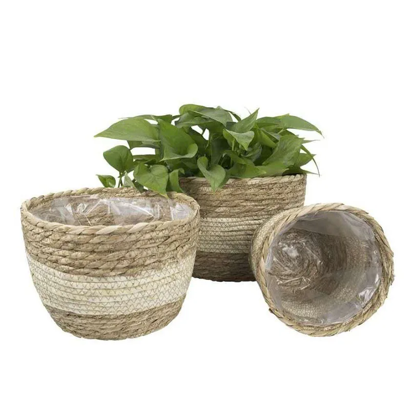 Natural Craft Seagrass Woven Plant Baskets Holder Container or Seagrass Woven Plant Pots
