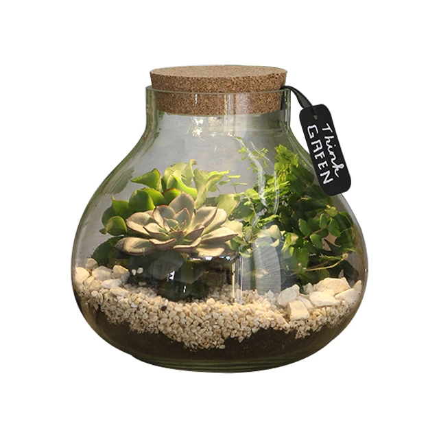 Home Decor Glass Bulb Led lamp for plants with Cork lid Terrarium in multiple sizes incl  3xAAA - h20 205cm for Wholesale